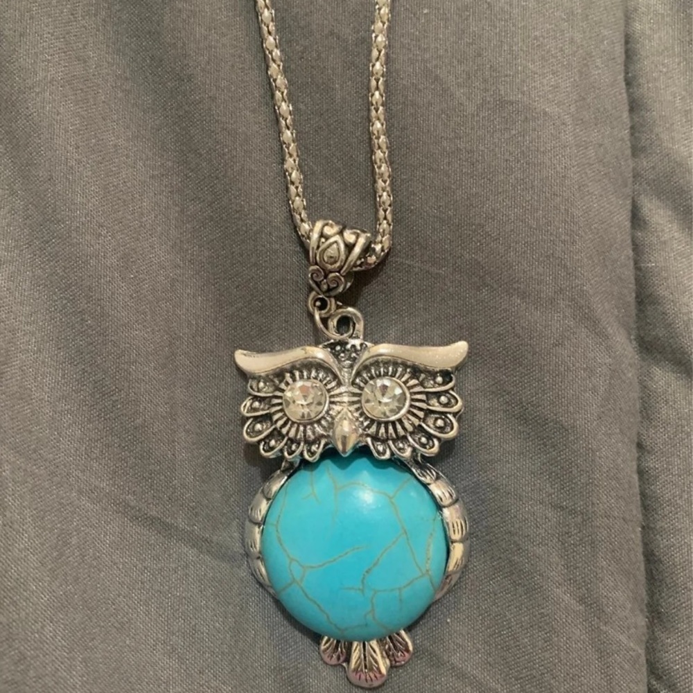 Gorgonzola larger owl pendant silver tone chain